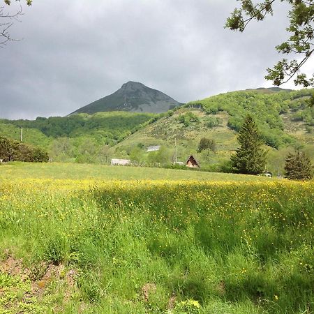 Chalet Avec Vue Panoramique Sur Le Plomb Du Cantal Vila Saint-Jacques-des-Blats Exterior foto