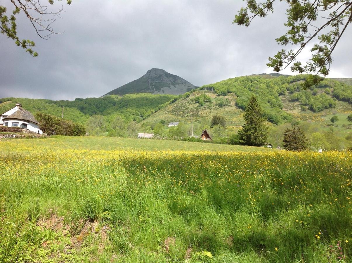 Chalet Avec Vue Panoramique Sur Le Plomb Du Cantal Vila Saint-Jacques-des-Blats Exterior foto