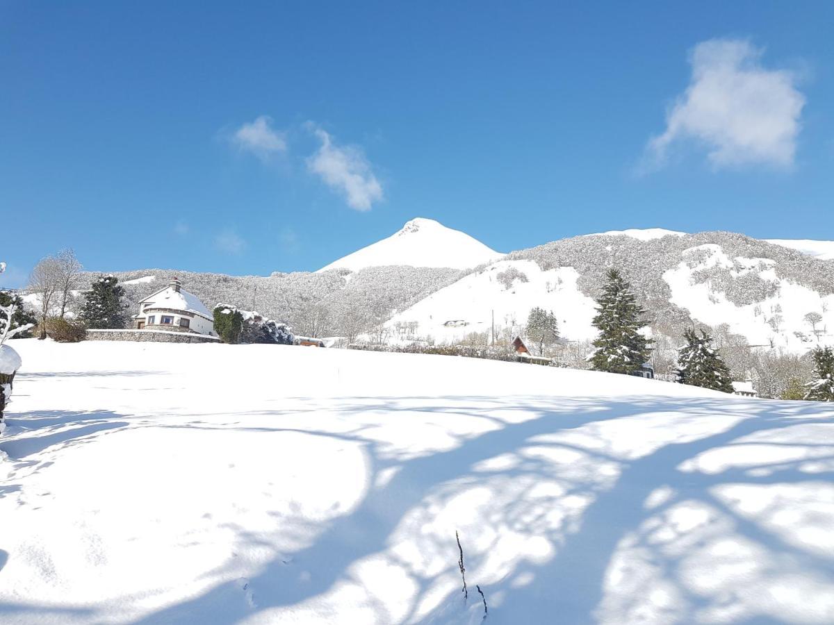 Chalet Avec Vue Panoramique Sur Le Plomb Du Cantal Vila Saint-Jacques-des-Blats Exterior foto