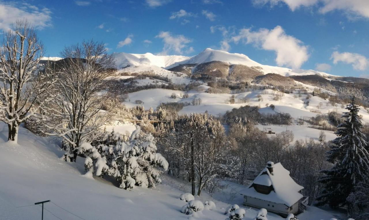 Chalet Avec Vue Panoramique Sur Le Plomb Du Cantal Vila Saint-Jacques-des-Blats Exterior foto