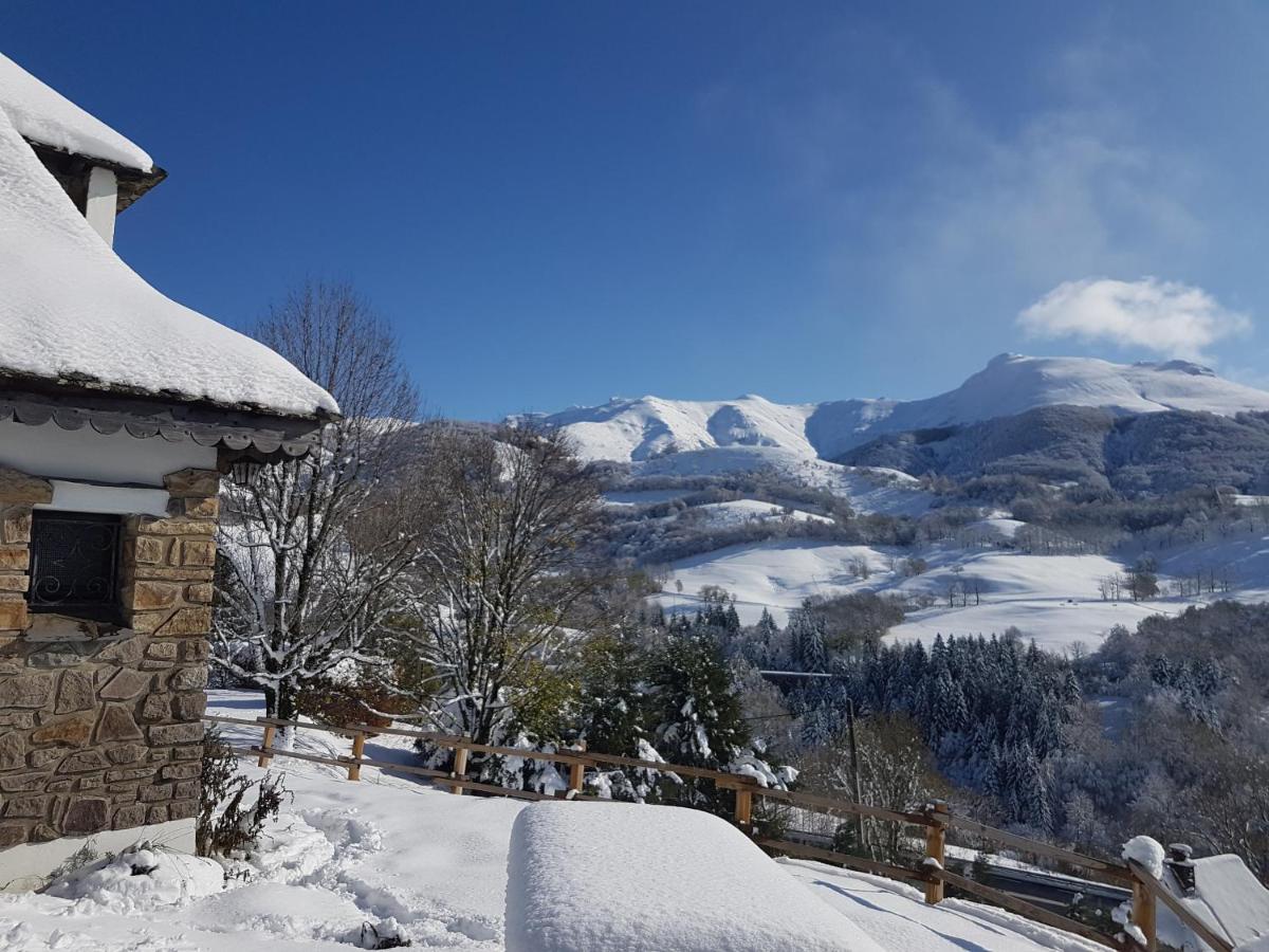 Chalet Avec Vue Panoramique Sur Le Plomb Du Cantal Vila Saint-Jacques-des-Blats Exterior foto