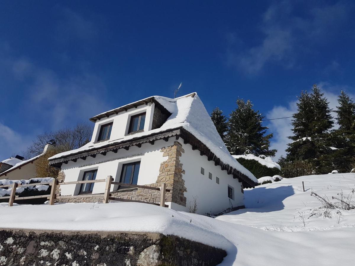 Chalet Avec Vue Panoramique Sur Le Plomb Du Cantal Vila Saint-Jacques-des-Blats Exterior foto