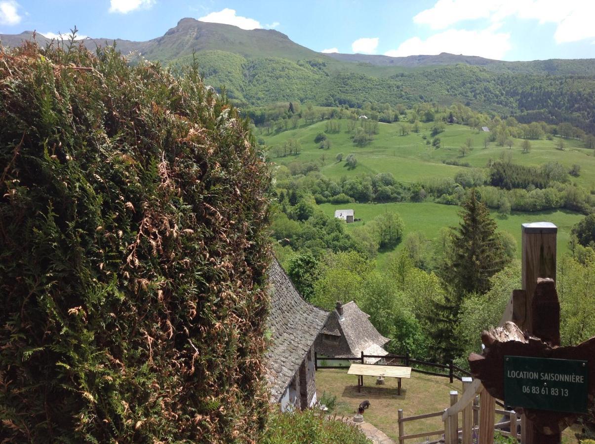 Chalet Avec Vue Panoramique Sur Le Plomb Du Cantal Vila Saint-Jacques-des-Blats Exterior foto