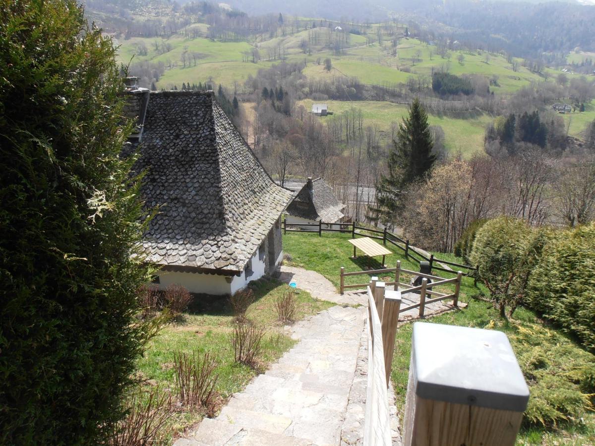 Chalet Avec Vue Panoramique Sur Le Plomb Du Cantal Vila Saint-Jacques-des-Blats Exterior foto