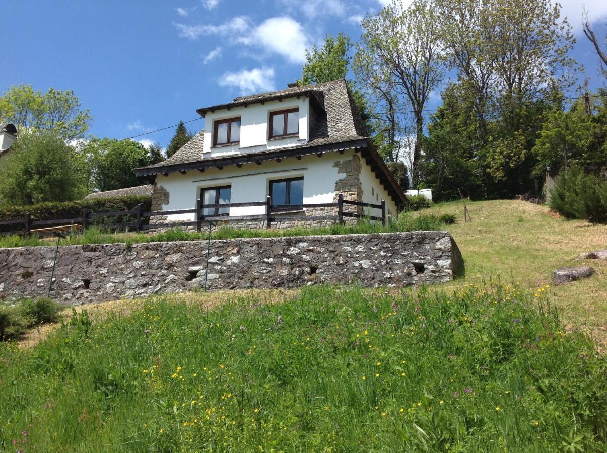 Chalet Avec Vue Panoramique Sur Le Plomb Du Cantal Vila Saint-Jacques-des-Blats Exterior foto