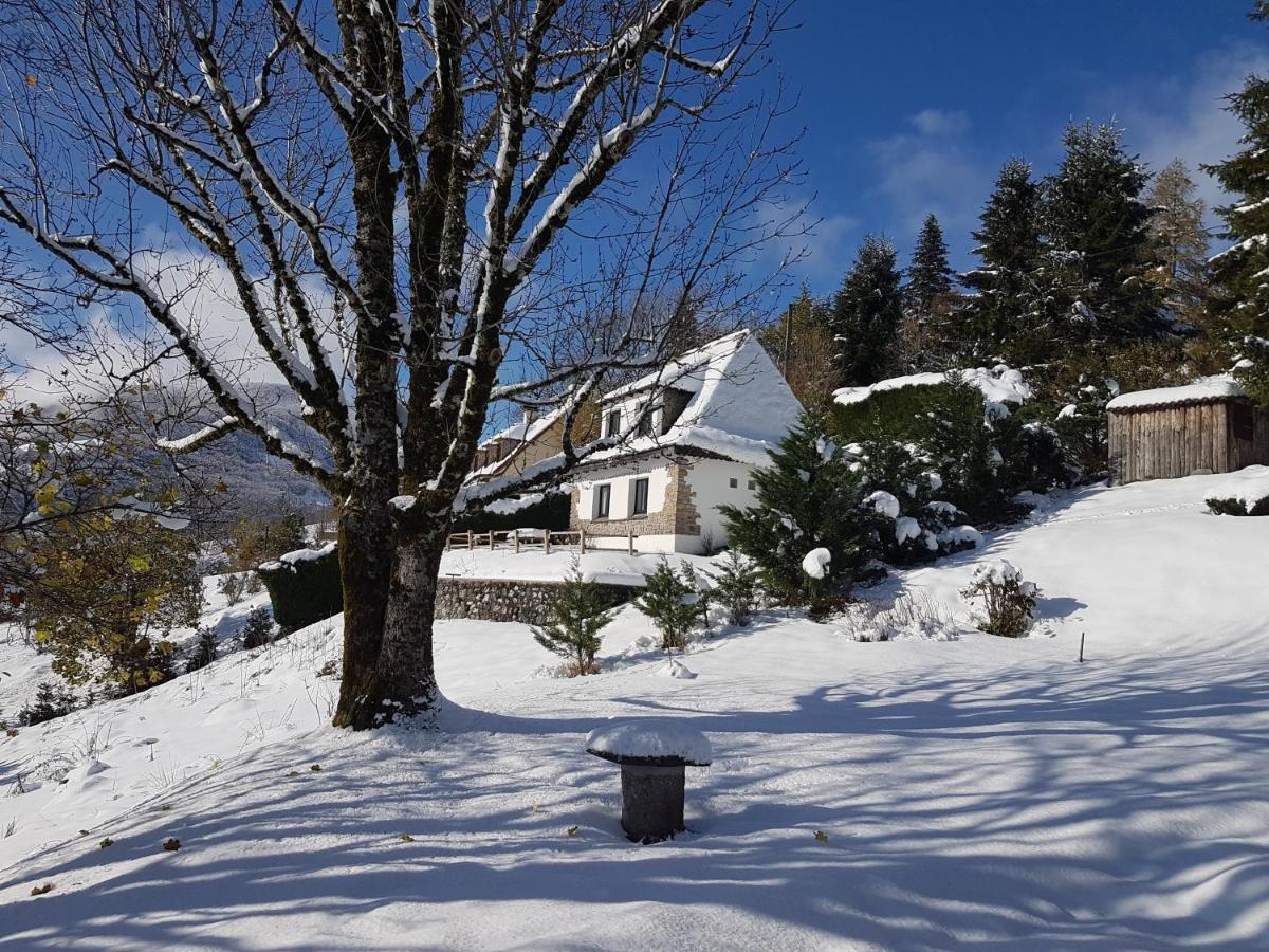 Chalet Avec Vue Panoramique Sur Le Plomb Du Cantal Vila Saint-Jacques-des-Blats Exterior foto