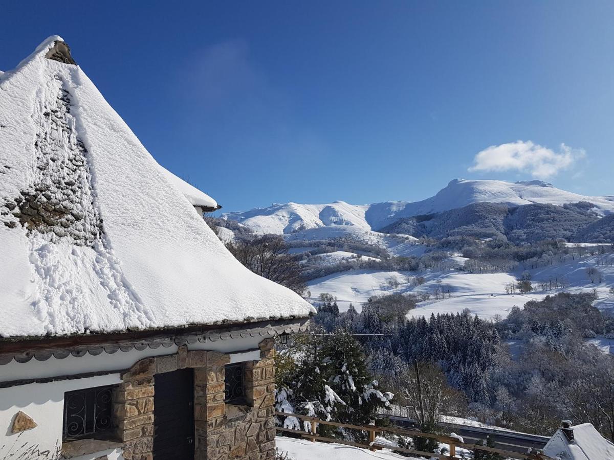 Chalet Avec Vue Panoramique Sur Le Plomb Du Cantal Vila Saint-Jacques-des-Blats Exterior foto