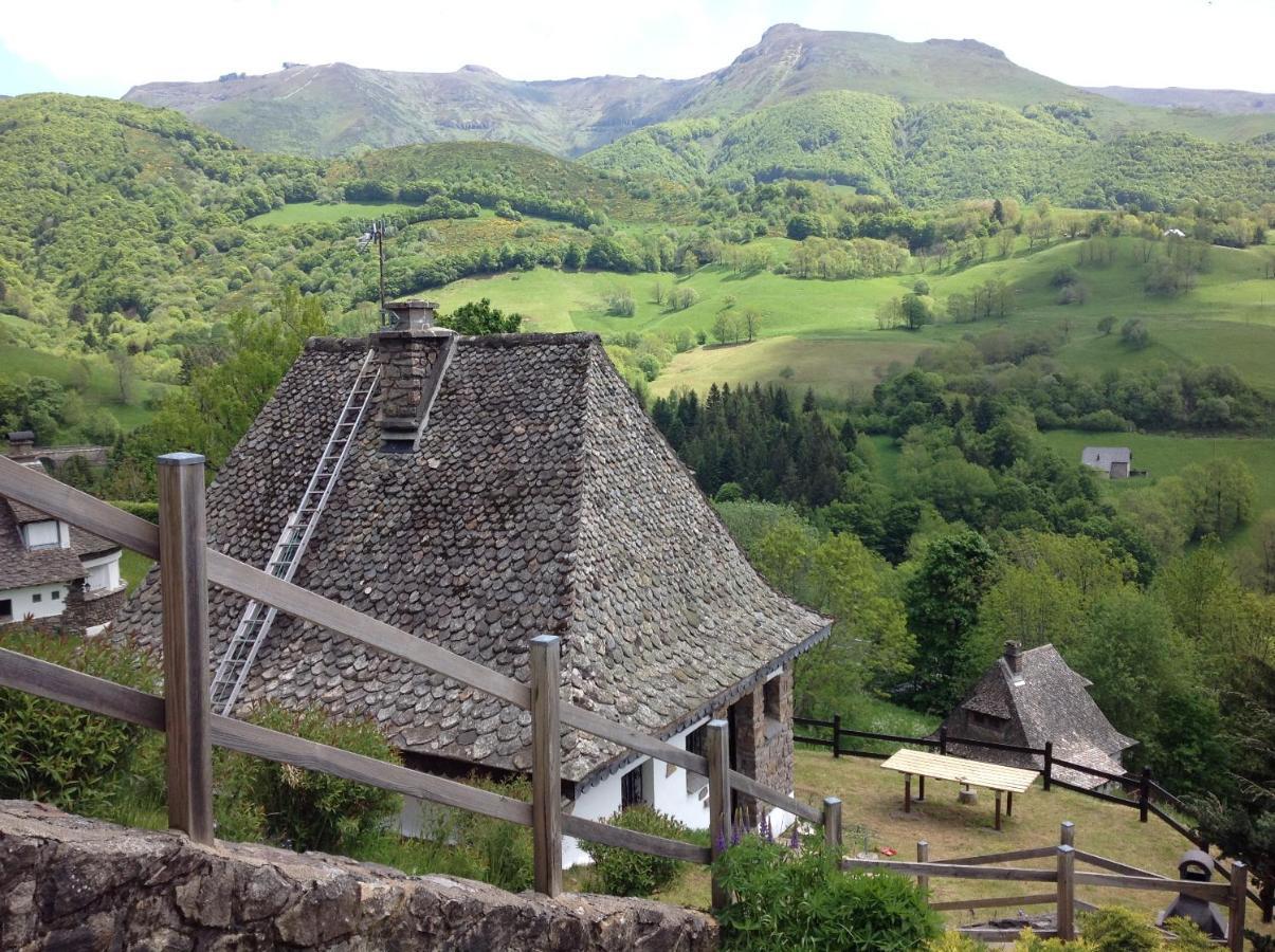 Chalet Avec Vue Panoramique Sur Le Plomb Du Cantal Vila Saint-Jacques-des-Blats Exterior foto